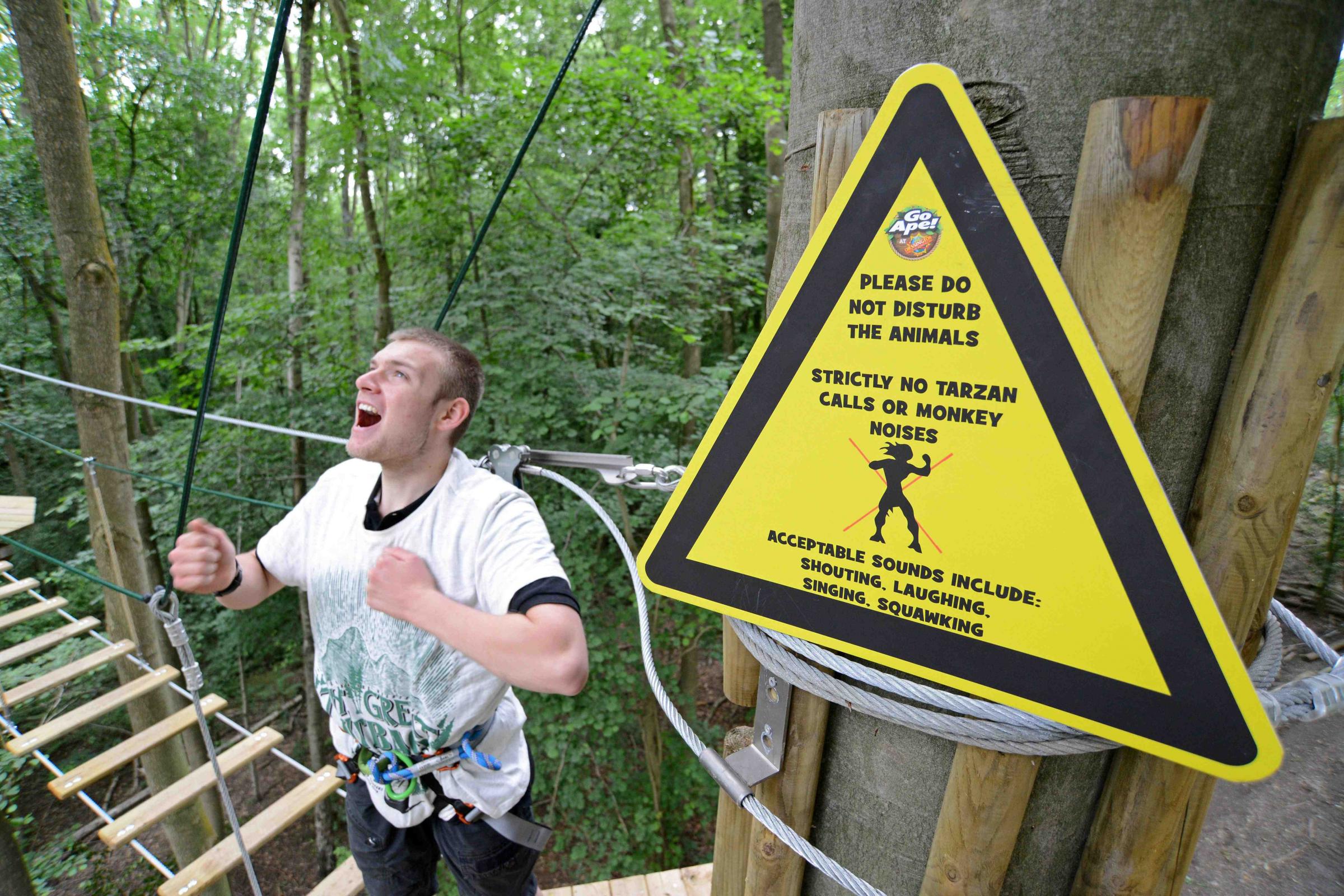 Chessington World Of Adventures Bans Tarzan Impressions On Go Ape Adventure Course As Noise Confuses Monkeys Surrey Comet