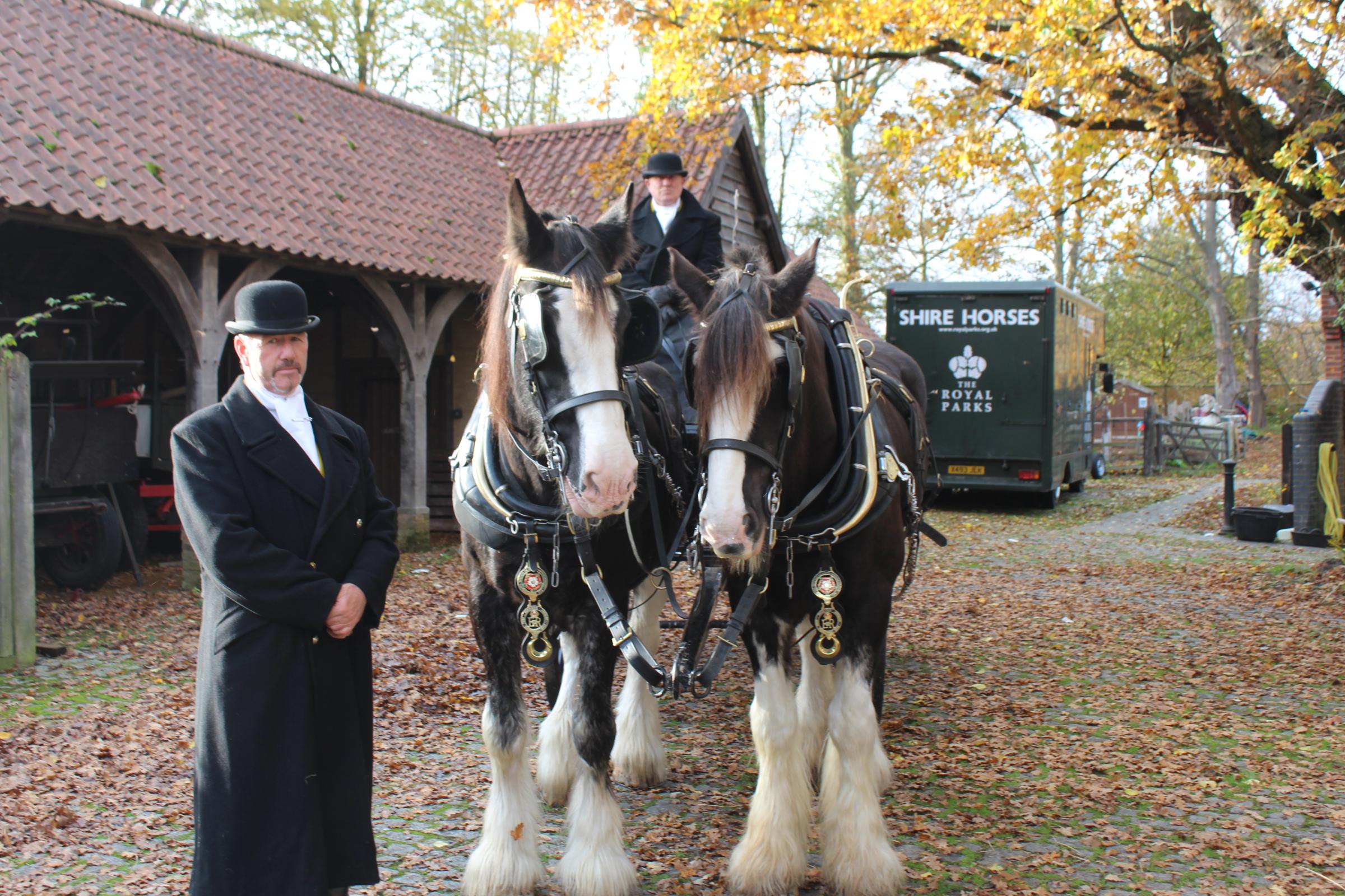 In Pictures Edwardian Christmas Horse Drawn Carriage Rides Around Richmond Park Surrey Comet